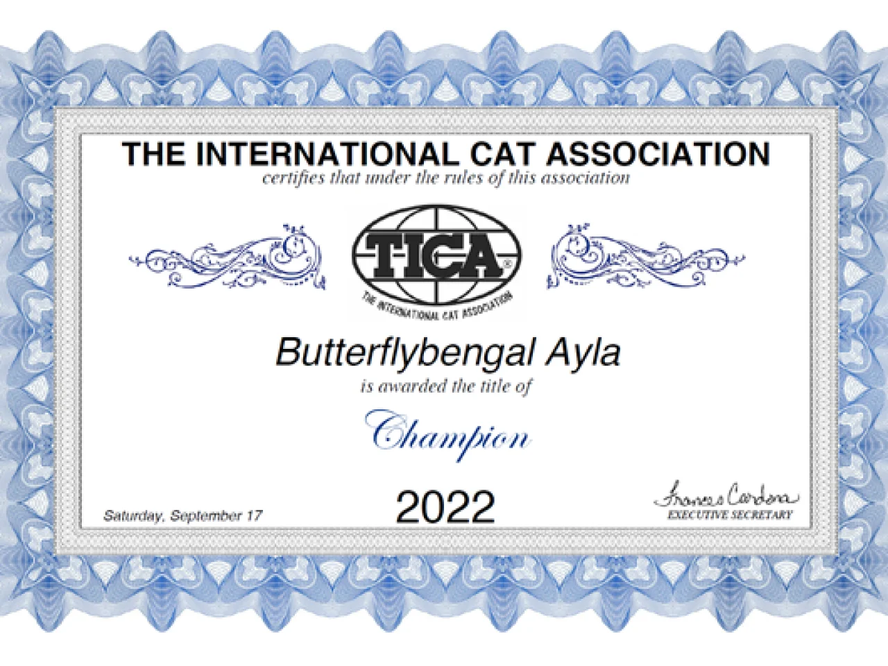 Ayla Certificate